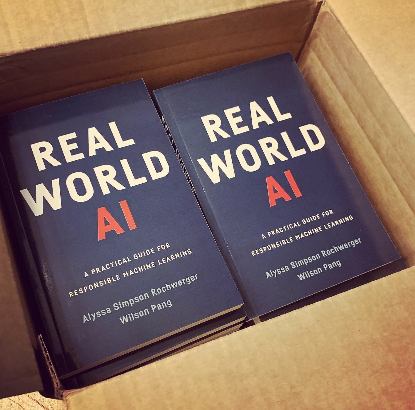 Copies of the Real World AI book